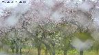 takano3-20250511080043.jpg