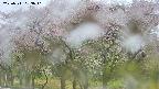 takano3-20250511083041.jpg