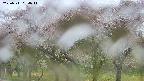 takano3-20250511084043.jpg