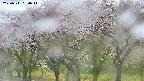 takano3-20250511090043.jpg