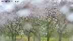takano3-20250511091042.jpg