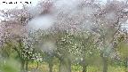 takano3-20250511092044.jpg