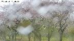 takano3-20250511094043.jpg