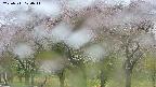 takano3-20250511100043.jpg