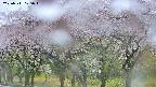takano3-20250511105044.jpg