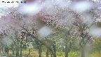 takano3-20250511111043.jpg
