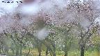 takano3-20250511112041.jpg