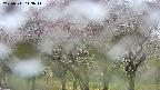 takano3-20250511113043.jpg
