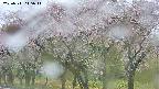takano3-20250511115044.jpg