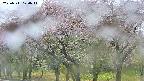 takano3-20250511120043.jpg