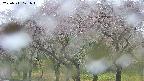 takano3-20250511121044.jpg