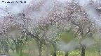 takano3-20250511122044.jpg