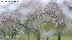 takano3-20250511123043.jpg