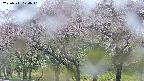 takano3-20250511124043.jpg