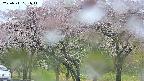 takano3-20250511131043.jpg