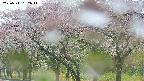 takano3-20250511132044.jpg