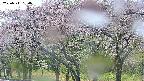 takano3-20250511134042.jpg