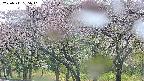takano3-20250511135043.jpg