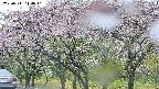 takano3-20250511140043.jpg