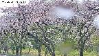 takano3-20250511141044.jpg
