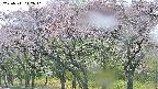 takano3-20250511142043.jpg