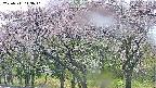 takano3-20250511143043.jpg