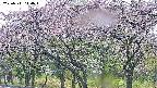 takano3-20250511144045.jpg