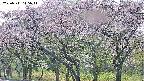 takano3-20250511145045.jpg