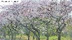 takano3-20250511150044.jpg