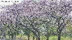 takano3-20250511151045.jpg