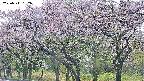 takano3-20250511152043.jpg