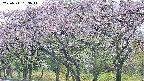 takano3-20250511153045.jpg
