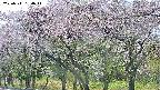 takano3-20250511154045.jpg