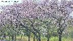 takano3-20250511155043.jpg