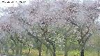 takano3-20250511162044.jpg