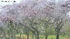 takano3-20250511163043.jpg