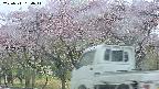 takano3-20250511164044.jpg