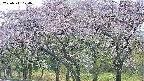 takano3-20250511170043.jpg