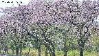 takano3-20250511171042.jpg