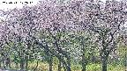 takano3-20250511172044.jpg