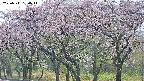 takano3-20250511180045.jpg