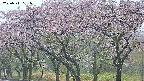 takano3-20250511181043.jpg
