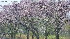 takano3-20250511182044.jpg
