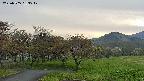 takano4-20230505053548.jpg