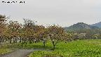 takano4-20230505080546.jpg