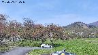 takano4-20230505134548.jpg