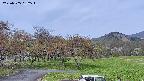 takano4-20230505152547.jpg