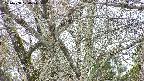 takano4-20250408120055.jpg