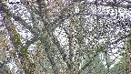 takano4-20250408151058.jpg