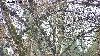 takano4-20250408160059.jpg